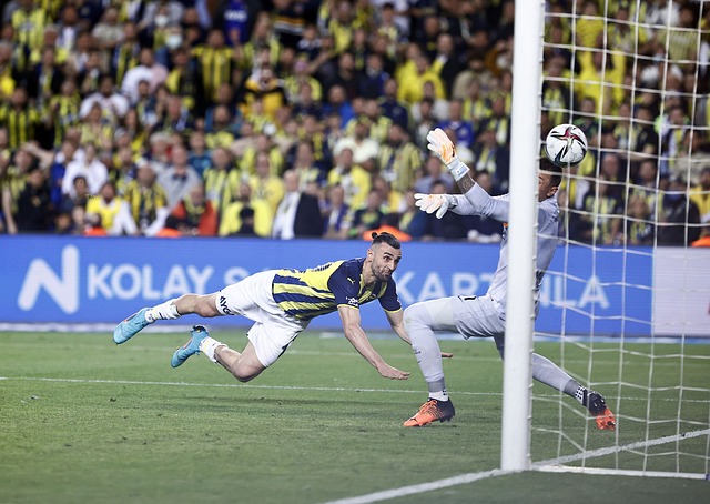 但这也正是 但这也正是