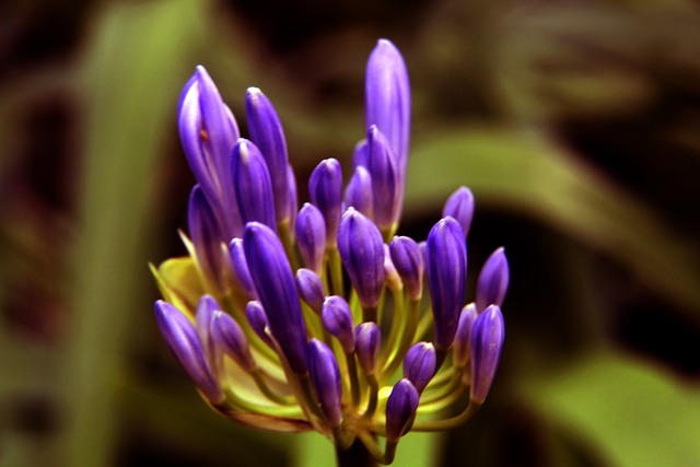 一个经典的 一个经典的