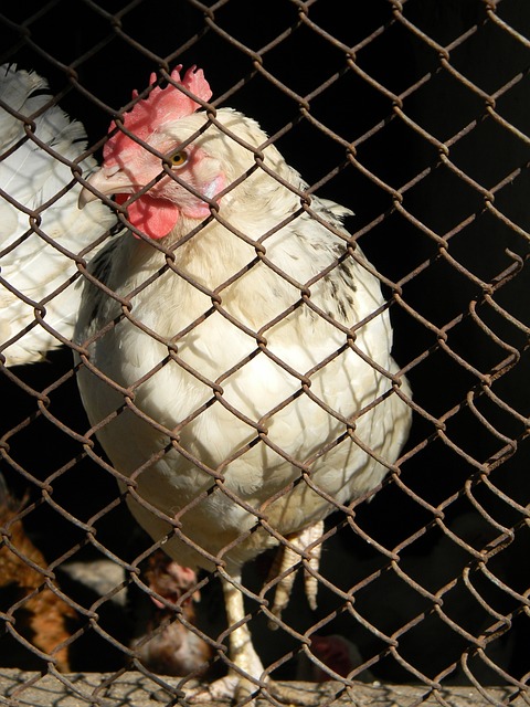 估英格兰 估英格兰