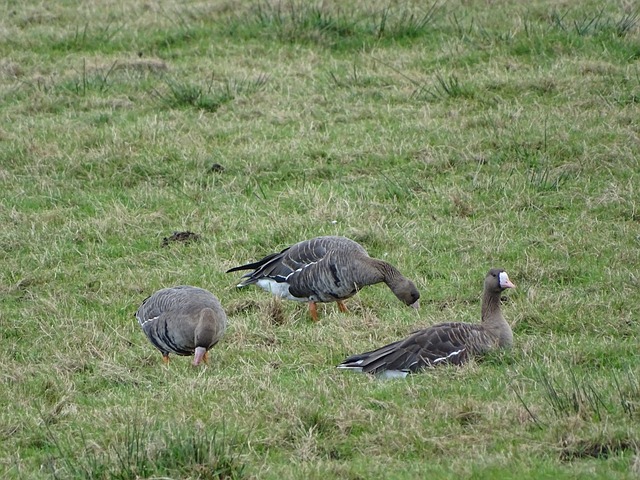 对空间的掌 对空间的掌