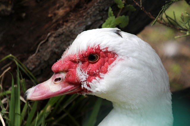 与国内赛场 与国内赛场