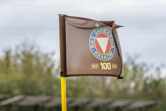 到关注 到关注