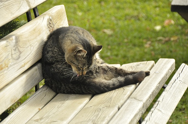 下来的赛季
